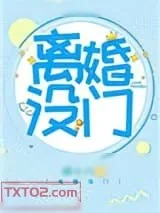 《离婚没门》小说封面
