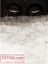 《见雪深（洒家）》小说封面