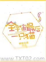 《全宇宙最后一只猫》小说封面