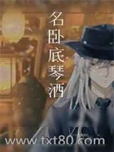 《名卧底GIN》小说封面