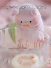 《养猪千日》小说封面