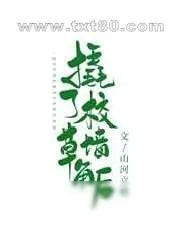 《撬了校草A墙角后[穿书]》小说封面