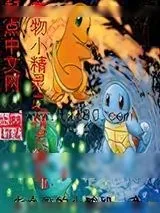 《宠物小精灵之精灵猎手》小说封面