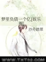 《梦里负债一个亿[娱乐圈]》小说封面