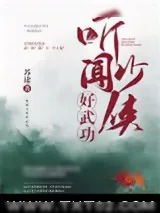 《听闻少侠好功夫》小说封面