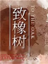 《致橡树》小说封面