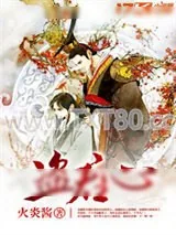 《盗君心》小说封面
