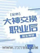 《大神交换职业后[全息]》小说封面