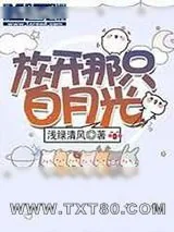《放开那只白月光》小说封面