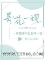 《真偶像不会昙花一现[娱乐圈]》小说封面