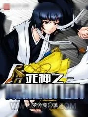 《死神之隐秘机动》小说封面