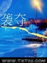 《袭夺》小说封面