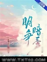 《明争暗秀》小说封面