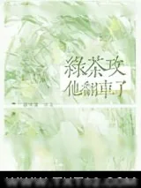 《绿茶攻他翻车了》小说封面