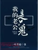 《我的老公是只鬼》小说封面