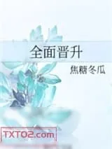 《全面晋升》小说封面