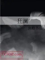 《狂澜》小说封面