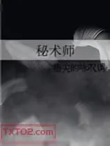 《秘术师》小说封面