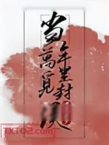 《当年万里觅封侯》小说封面