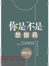 《你是不是想撩我[娱乐圈]》小说封面