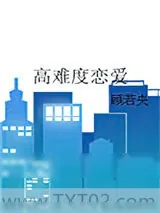 《如何征服英俊少男》小说封面