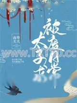 《女扮男装的太子总想被废》小说封面
