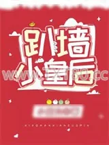 《趴墙小皇后》小说封面