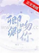 《卿卿吻你》小说封面