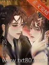 《被献给敌国疯批太子后》小说封面