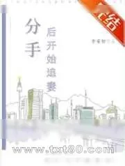 《分手后开始追妻》小说封面