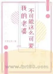 《我的老婆不可能这么可爱!》小说封面