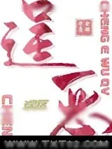 《逞恶误区》小说封面
