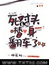 《死对头互相替身翻车了》小说封面