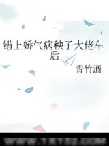 《错上娇气病秧子大佬车后》小说封面