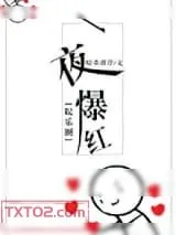 《一夜爆红[娱乐圈]》小说封面