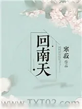 《单身男子》小说封面