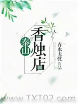 《泰山香烛店》小说封面