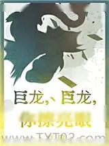 《巨龙，巨龙，你擦亮眼》小说封面