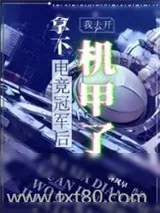 《战陨》小说封面