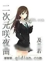 《二次元咲夜曲》小说封面