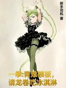 《一拳：青雉模板，请龙卷吃冰淇淋》小说封面