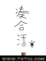 《凑合活》小说封面