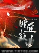 《暗通款曲》小说封面