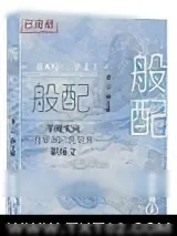 《般配》小说封面