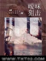 《暧昧狙击》小说封面