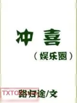 《冲喜[娱乐圈]》小说封面