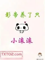 《影帝养了只小滚滚》小说封面