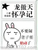 《龙傲天怀孕记》小说封面