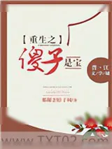 《重生之傻子是宝》小说封面