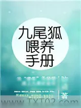 《九尾狐喂养手册》小说封面